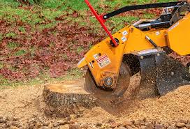 How Our Tree Care Process Works  in  Mount Pleasant, SC